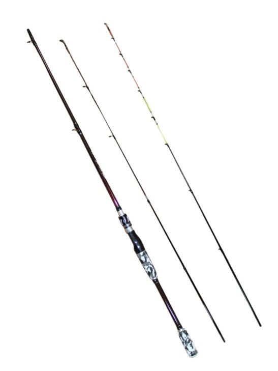 Balza Shanghai 210cm 2 Uçlu 10-40 Ve 1-10 Aksiyonlu Spin Kamış