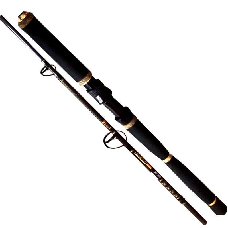 RYOBI SAFARI 2 PARÇALI 165 CM 40-80 LBS JIG KAMIŞI