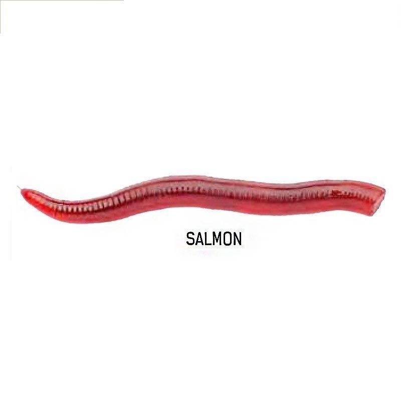 Vorteks Feeder Blood Worm Salmon Silikon Kurt