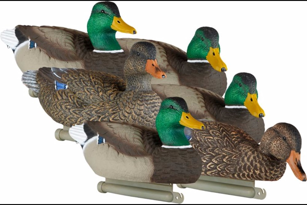 LUCKY DUCK DECEPTİON SERİES YEŞİLBAŞ ÖRDEK MÜHRE TAKIMI