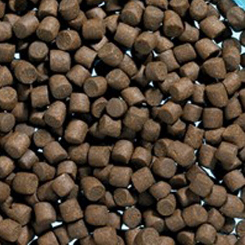5mm Alabalık Yemi 1 Kg