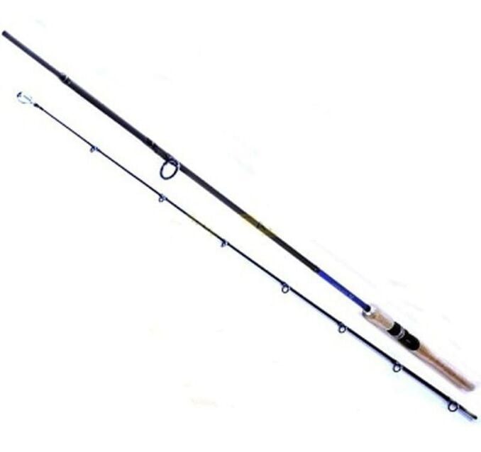 Ryobi Aosagi 2 Parçalı Spin Kamış 2.70 MT