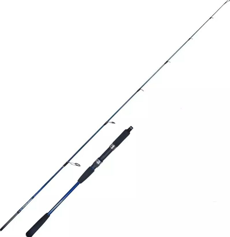 Ryuji Strobe Iı 1.98M 80-170GR 2p Jig Olta Kamışı