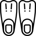 Paletler