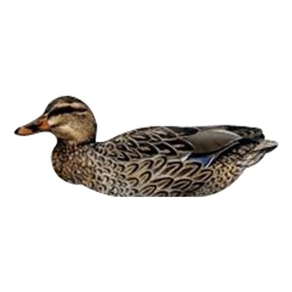 T. NRA FUD Mallard Ducks Ördek Mühre-(3 ERKEK-3 DİŞİ)