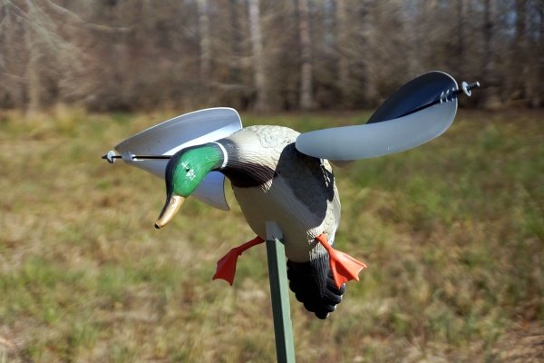 Mojo Wind Duck Kanatlı Mühre ( Kanatlı Ördek )