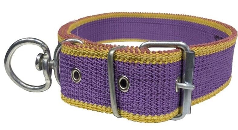 Kangal Köpekler İçin Tasma  1. Kalite