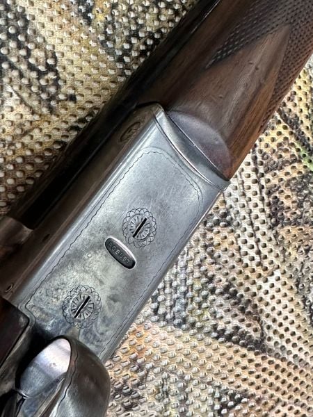 Robust 234 Çifte (SATILDI)