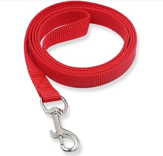 Köpek Gezdirme İpi