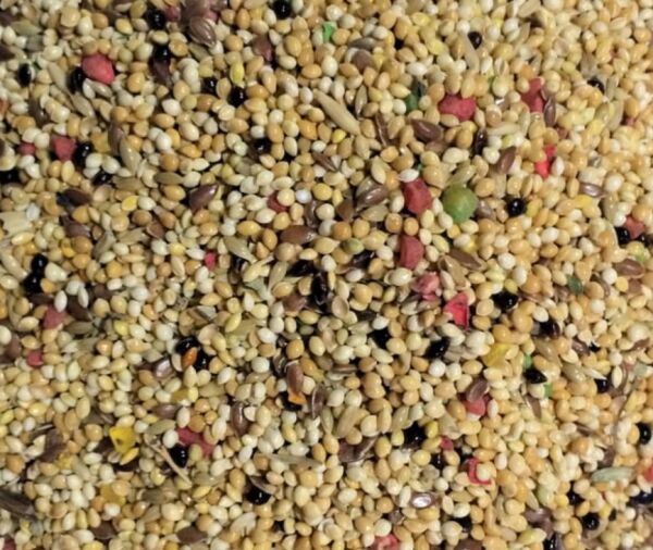 Renkli Kuş Yemi 2 Kilo 1. Kalite Lüx