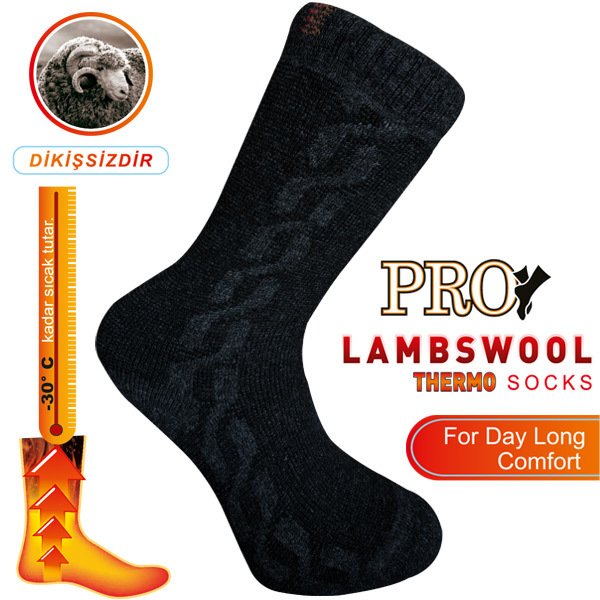 13902 Lapon Havlu Lambswool Erkek Çorabı Füme 41-44