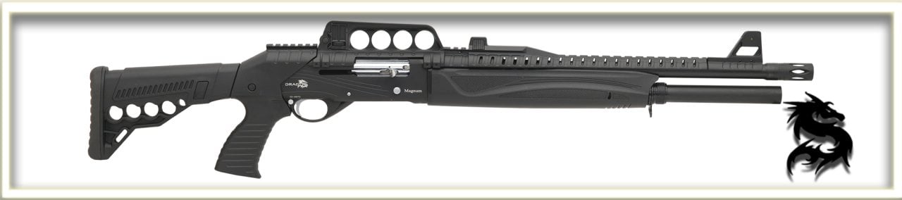 Dragon AS-901-AX2 Otomatik Av Tüfeği
