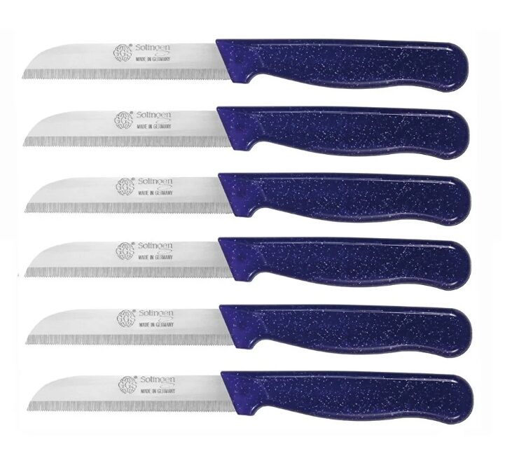 Solingen Meyve Sebze Bıçağı Dişli Simli Model Mor