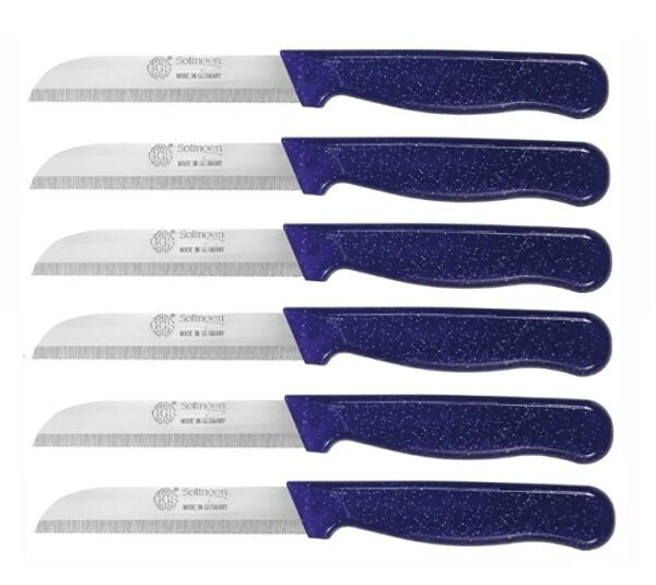 Solingen Meyve Sebze Bıçağı Dişli Simli Model Mor