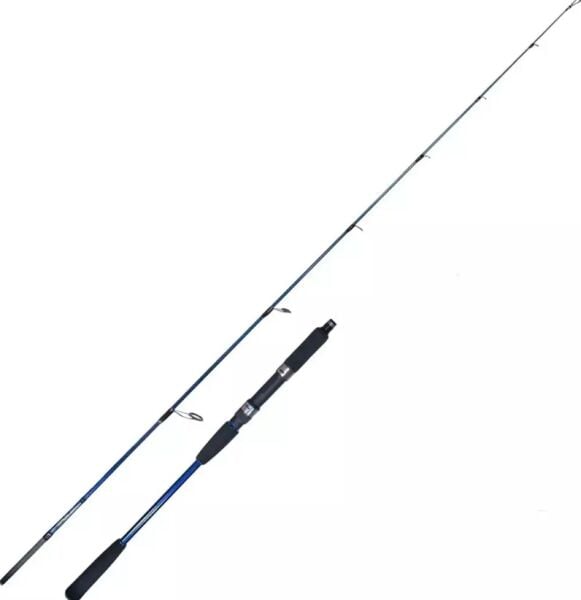 Ryuji Strobe Iı 1.98M 80-170GR 2p Jig Olta Kamışı