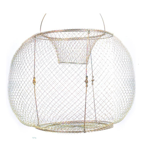 Portfish Davul Pinter 55x40