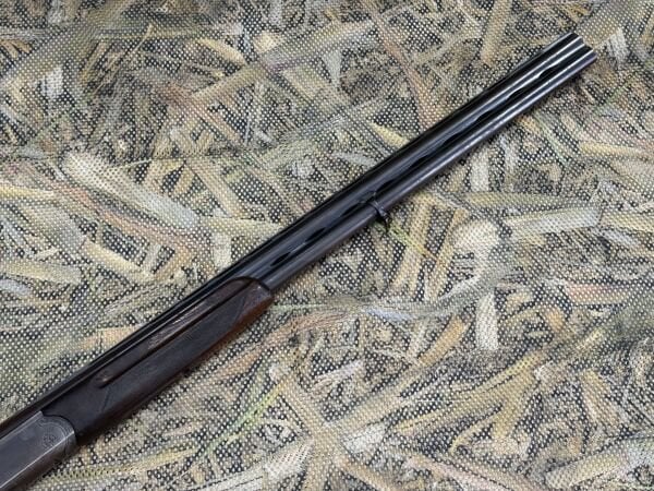 Cesa Süperpoze Av Tüfeği