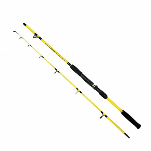 DFT Focus 165 cm Bot Kamışı 50-100 g