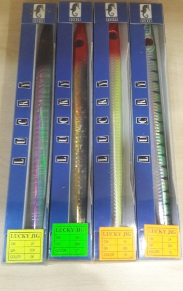 SILVERSTAR LUCKY JIG - ML12 24CM - 200GR C-10