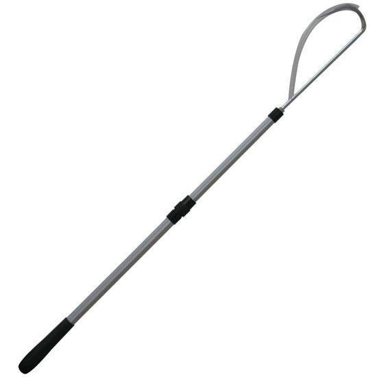 Silverstar Kakıç Boy: 1.50mt.