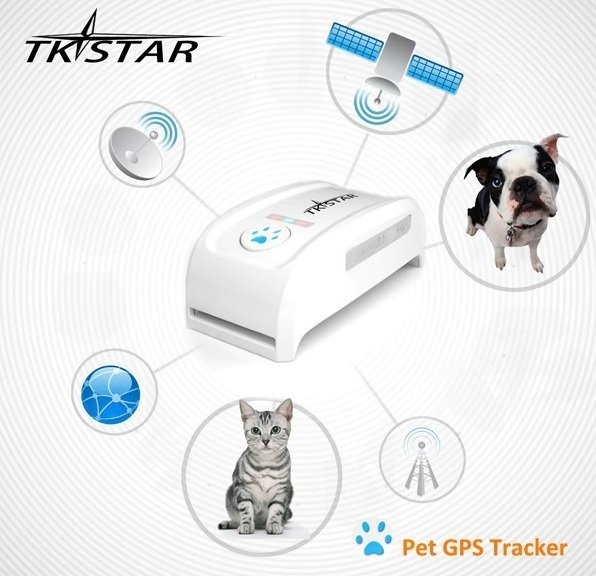 Köpek Gps Takip Cihazı
